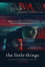 Watch The Little Things Megashare9