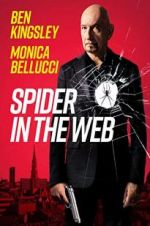 Watch Spider in the Web Megashare9