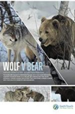 Watch Wolf vs Bear 9movies