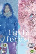 Watch Little Forest: Winter/Spring Megashare9