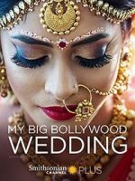 Watch My Big Bollywood Wedding Megashare9