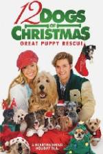 Watch 12 Dogs of Christmas Great Puppy Rescue Megashare9