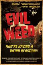 Watch Evil Weed Megashare9
