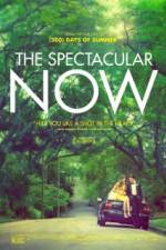 Watch The Spectacular Now Megashare9