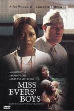 Watch Miss Evers löfte Megashare9