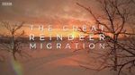 Watch All Aboard! The Great Reindeer Migration Online Megashare9