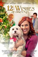 Watch 12 Wishes of Christmas Megashare9