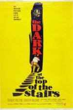 Watch The Dark at the Top of the Stairs Megashare9
