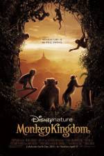Watch Monkey Kingdom Megashare9