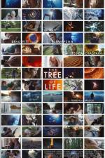 Watch The Tree of Life Megashare9