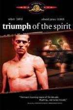 Watch Triumph of the Spirit Online Megashare9