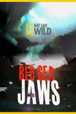 Watch National Geographic Red Sea Jaws Megashare9