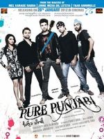 Watch Pure Punjabi Online Megashare9
