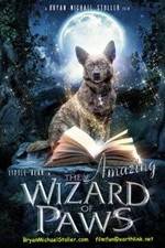 Watch The Amazing Wizard of Paws Online Megashare9