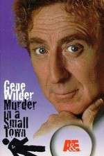 Watch Murder in a Small Town Megashare9