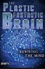 Watch The Plastic Fantastic Brain Megashare9