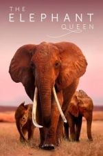 Watch The Elephant Queen 9movies