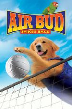 Watch Air Bud: Spikes Back Online Megashare9