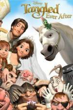 Watch Tangled Ever After Online Megashare9