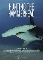Watch Hunting the Hammerhead Online Megashare9