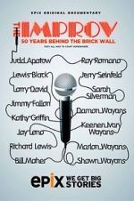 Watch The Improv: 50 Years Behind the Brick Wall (TV Special 2013) Online Megashare9