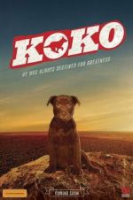 Watch Koko: A Red Dog Story Megashare9
