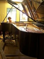 Watch Note by Note: The Making of Steinway L1037 Online Megashare9