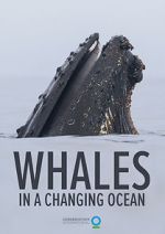 Watch Whales in a Changing Ocean (Short 2021) Online Megashare9