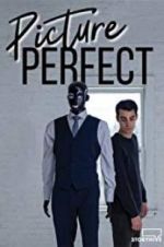 Watch Picture Perfect Megashare9