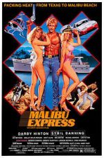Watch Malibu Express Online Megashare9