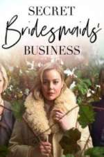 Watch Secret Bridesmaids\' Business Megashare9