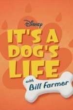 Watch It\'s a Dog\'s Life with Bill Farmer Megashare9