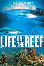 Watch Life on the Reef Megashare9
