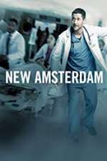 new amsterdam tv poster