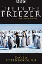 Watch Life in the Freezer Megashare9