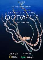 Watch Megashare9 Secrets of the Octopus Online