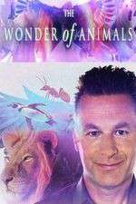 Watch The Wonder of Animals Megashare9