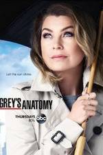 Watch Megashare9 Grey's Anatomy Online