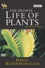 Watch The Private Life of Plants Megashare9