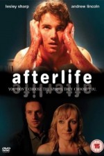 afterlife tv poster