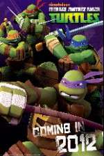 Watch Teenage Mutant Ninja Turtles Megashare9