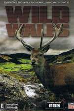 Watch Wild Wales Megashare9