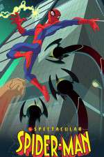 the spectacular spider-man tv poster