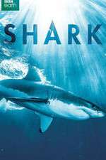 Watch Shark Megashare9