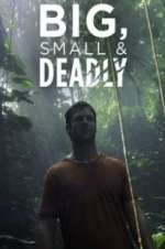 Watch Big, Small & Deadly Megashare9