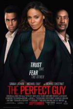 Watch The Perfect Guy Megashare9