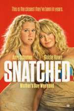 Watch Snatched Megashare9