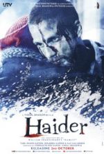 Watch Haider Megashare9