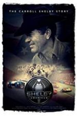 Watch Shelby American Megashare9