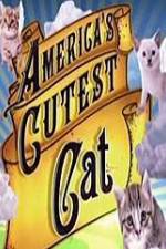 Watch America's Cutest Cat Megashare9